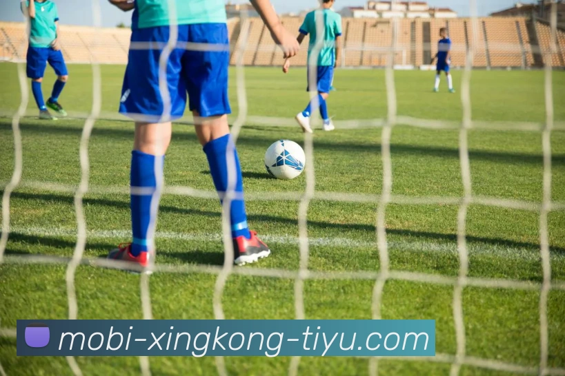 星空体育APP 封面图