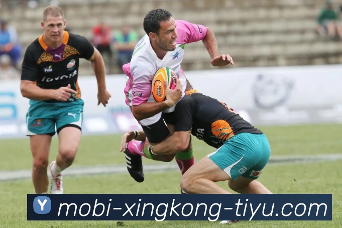 数据防护可视化